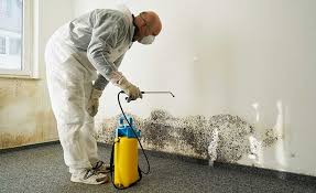 Why You Should Choose Our Mold Remediation Services in Arial, SC